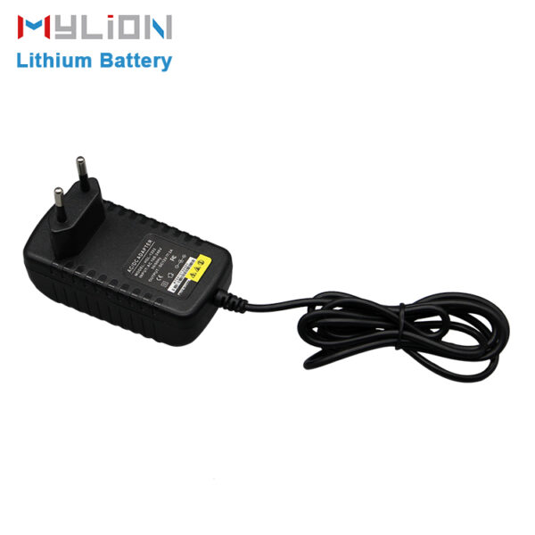 Adapter/Charger for lithium battery - Image 2