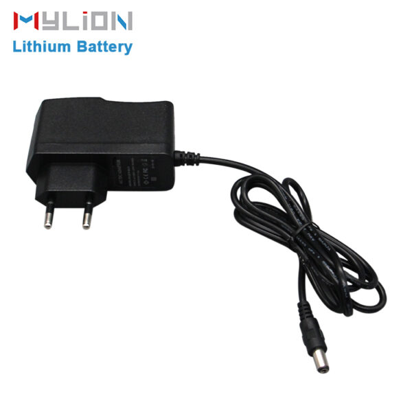 Adapter/Charger for lithium battery - Image 3