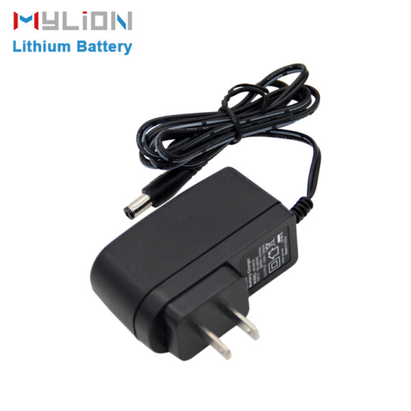 Adapter/Charger for lithium battery - Image 5
