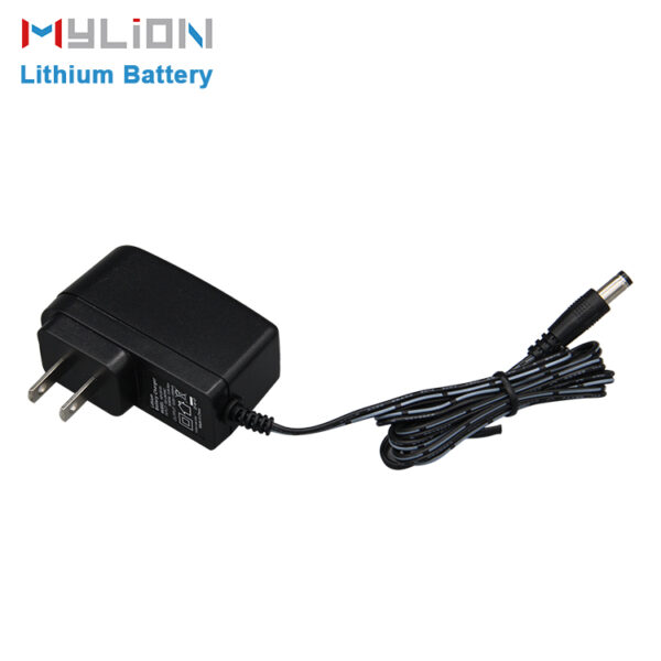 Adapter/Charger for lithium battery - Image 4