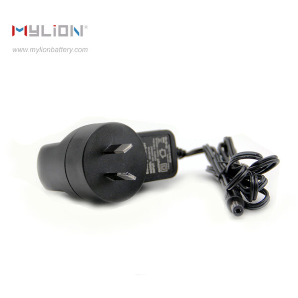 Adapter/Charger for lithium battery - Image 6