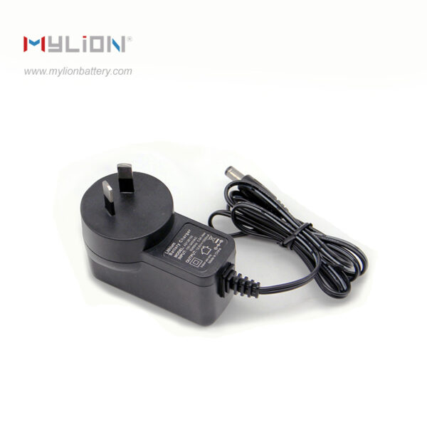 Adapter/Charger for lithium battery - Image 7