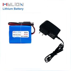 1pc Chager+1pc11.1v 2.2ah Lithium Battery For Sprayer And Pump Free Shipping to America