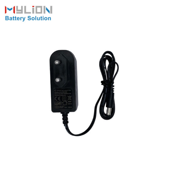 Mylion CE certified 12.6v 1a AU,EU,UK,US adapter charger selected voltage and current 16.8v 14.8v 12v 8.4v 4.2v battery charger - Image 3