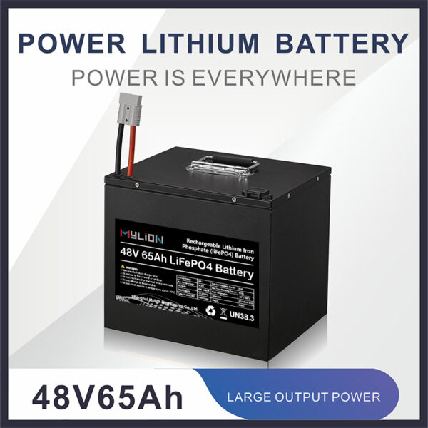 mylion Lifepo4 48V 18ah 30ah 50ah 65ah Lithium Iron Phosphate Batteries Deep Cycle Battery for Motor power systerm - immagine 2