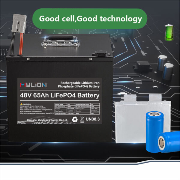mylion Lifepo4 48V 18ah 30ah 50ah 65ah Lithium Iron Phosphate Batteries Deep Cycle Battery for Motor power systerm - immagine 3