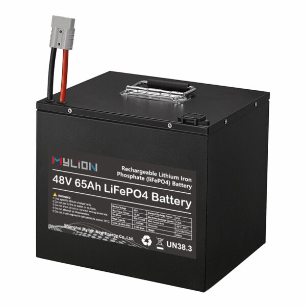 mylion Lifepo4 48V 18ah 30ah 50ah 65ah Lithium Iron Phosphate Batteries Deep Cycle Battery for Motor power systerm - immagine 6
