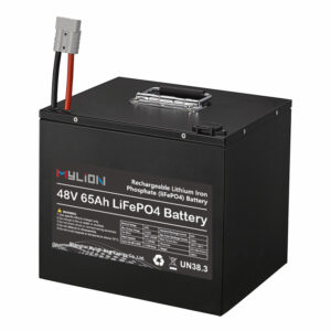 mylion Lifepo4 48V 18ah 30ah 50ah 65ah Lithium Iron Phosphate Batteries Deep Cycle Battery for Motor power systerm