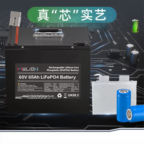 mylion 60v 22ah 30ah 50ah 65ah lifepo4 power battery Lithium Iron Phosphate Batteries Deep Cycle Battery for Electric vehicle - immagine 3