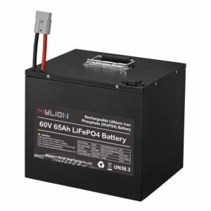 mylion 60v 22ah 30ah 50ah 65ah lifepo4 power battery Lithium Iron Phosphate Batteries Deep Cycle Battery for Electric vehicle