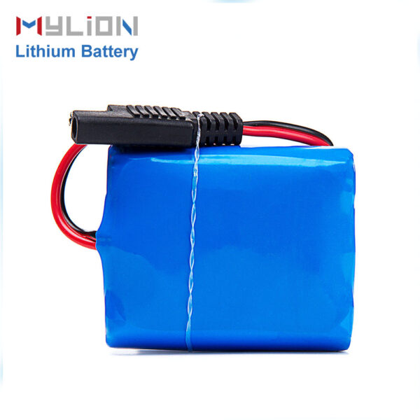 4pcs 11.1v 2.2ah 3s1p 18650 Rechargeable Lithium Battery Pack For Sprayer Free Shipping to US/Canada - Image 3