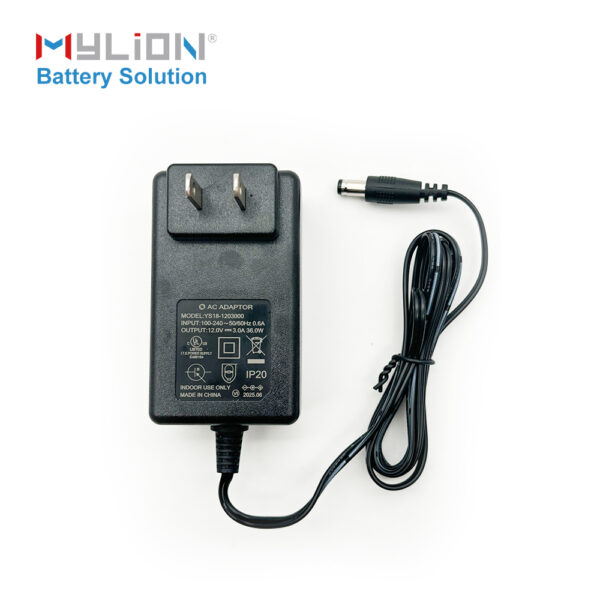 Mylion CE certified chanrger 12V 3A Power Adapter AU EU UK US adapter battery charger - Image 2