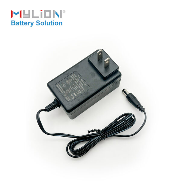 Mylion CE certified chanrger 12V 3A Power Adapter AU EU UK US adapter battery charger - Image 3