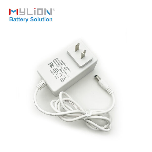 Mylion CE certified chanrger 12V 2.5A Power Adapter AU EU UK US adapter battery charger - Image 3
