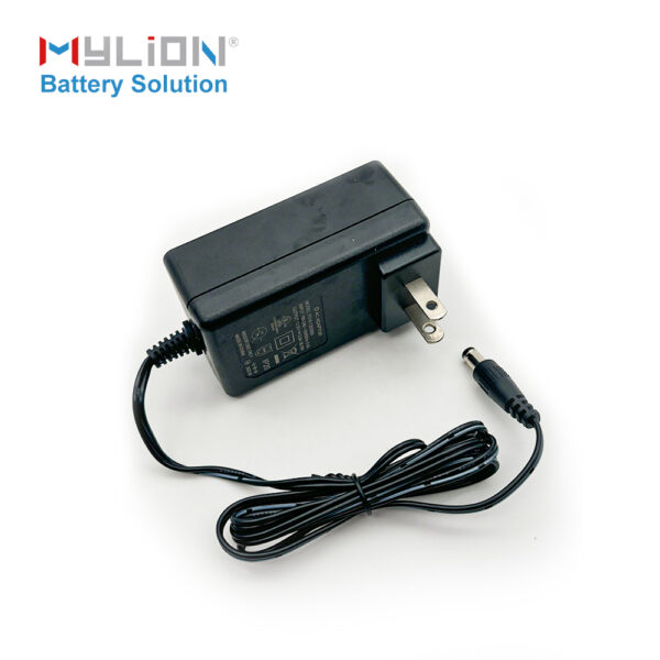 Mylion CE certified chanrger 12V 3A Power Adapter AU EU UK US adapter battery charger - Image 4