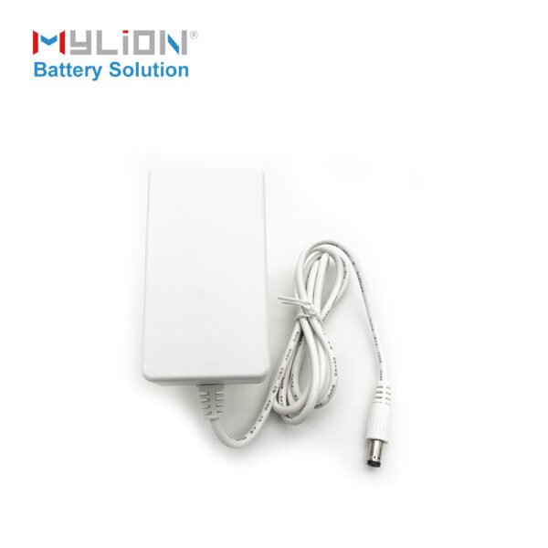 Mylion CE certified chanrger 12V 2.5A Power Adapter AU EU UK US adapter battery charger - Image 4