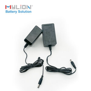 Mylion CE certified chanrger 12V 3A Power Adapter AU EU UK US adapter battery charger