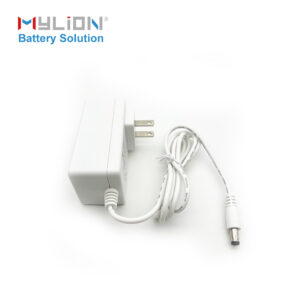 Mylion CE certified chanrger 12V 2.5A Power Adapter AU EU UK US adapter battery charger